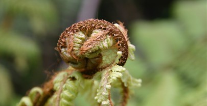 Burn-out als loutering