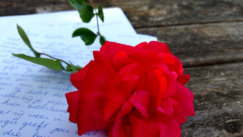 Love Letter…..