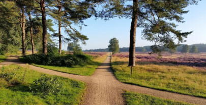 Zelf coaching wandelprogramma